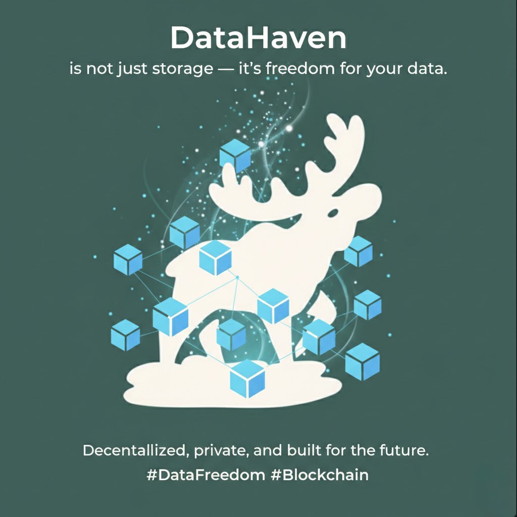 Alikalli16's tweet photo. @DataHaven_xyz is not just storage — it’s freedom for your data.
Decentralized, private, and built for the future.
#DataFreedom #Blockchain https://t.co/oomQPjanVF