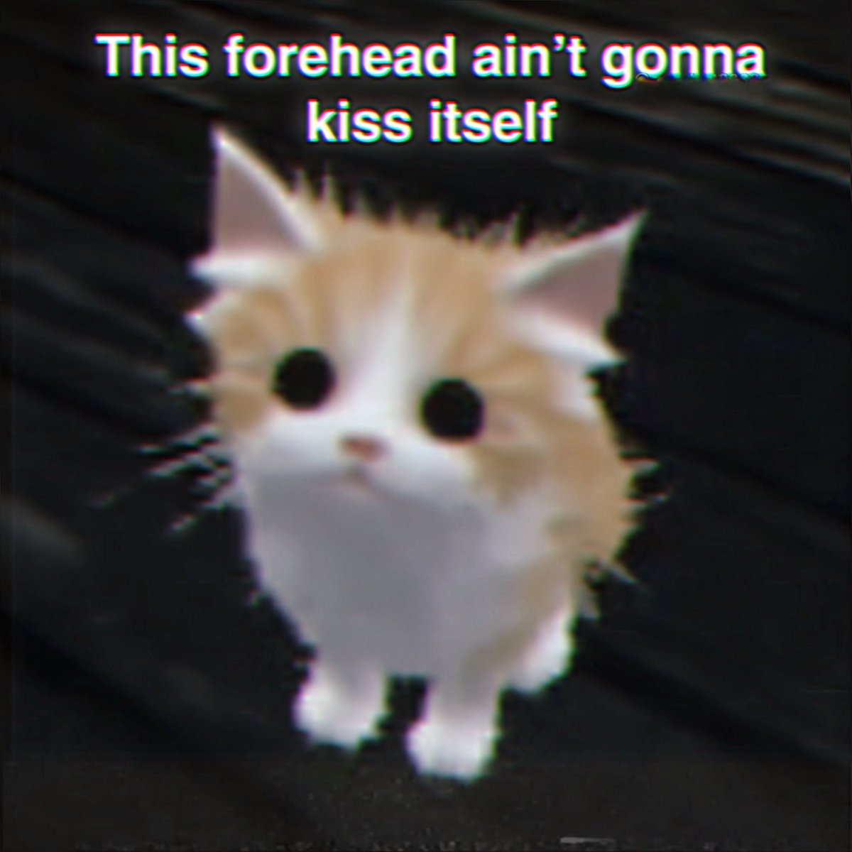 /ᐠ •̀ ˕ •́ マ