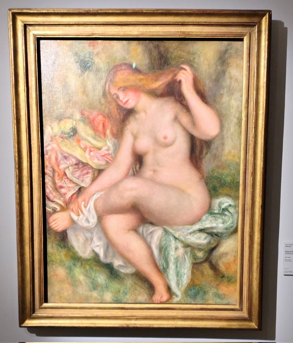 #impressionismoeoltre #mostraimpressionismo #arapacis #roma #rome