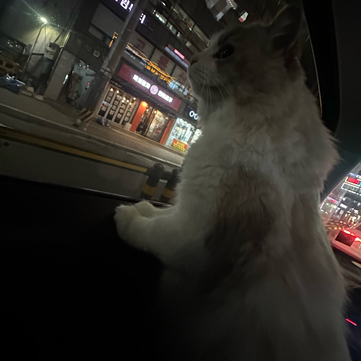 아 이거 너무 기엽다 ㅎ