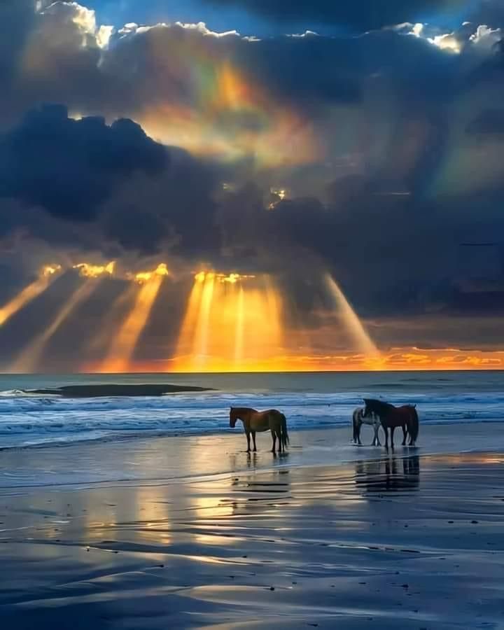 naturebeautyh's tweet image. Magical view😍😍