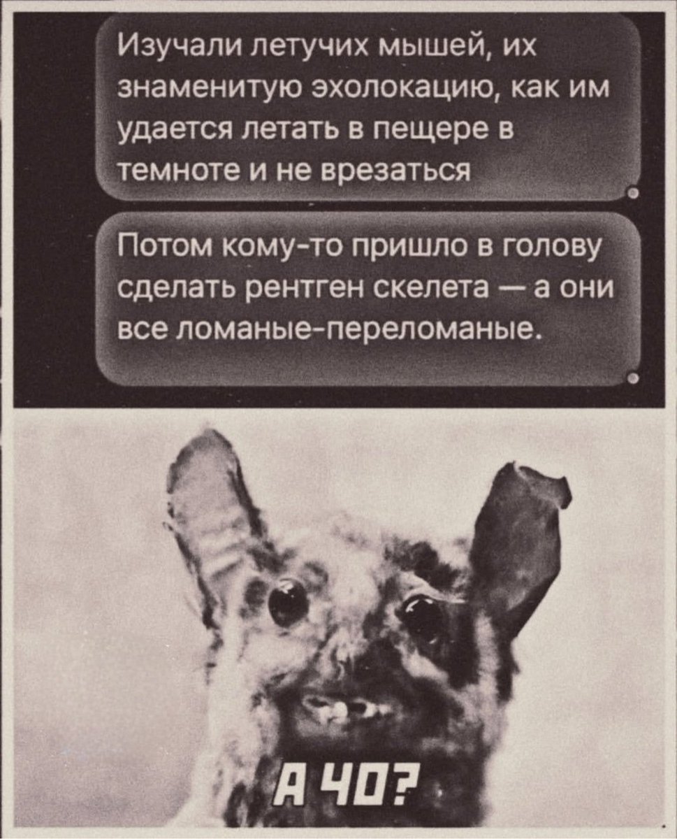 Лиса #ПротивВойны (@fanatism_hater) on Twitter photo 