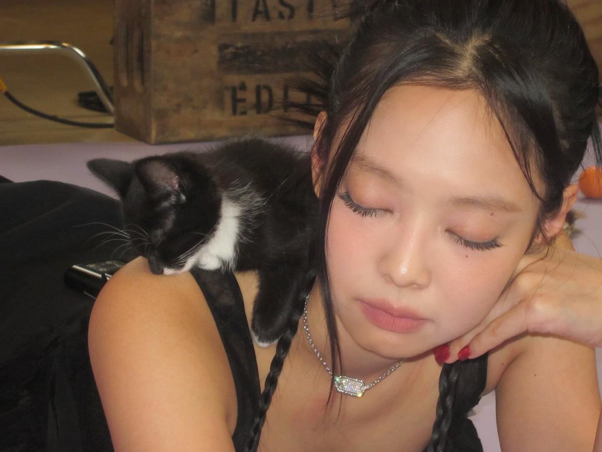 wuvrubyjane's tweet image. 고양이들 제니랑 잇으면 쿨쿨 잠드는거 너뮤귀엽다 ..