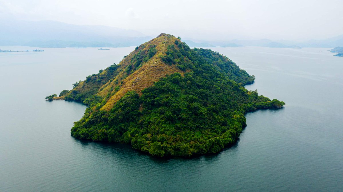 SahihiT's tweet image. What a fabulous view from #lakekivu! Choose to explore #Rwanda with @SahihiT to discover the beauty of a country of thousand hills. 

📩sahihiafricatours@gmail.com 

#SahihiAfricaTours #visitrwanda #WeekendVibes #BoatCruise #Kigali #Traveler #Africa #fun #LakeShow #NatureLovers