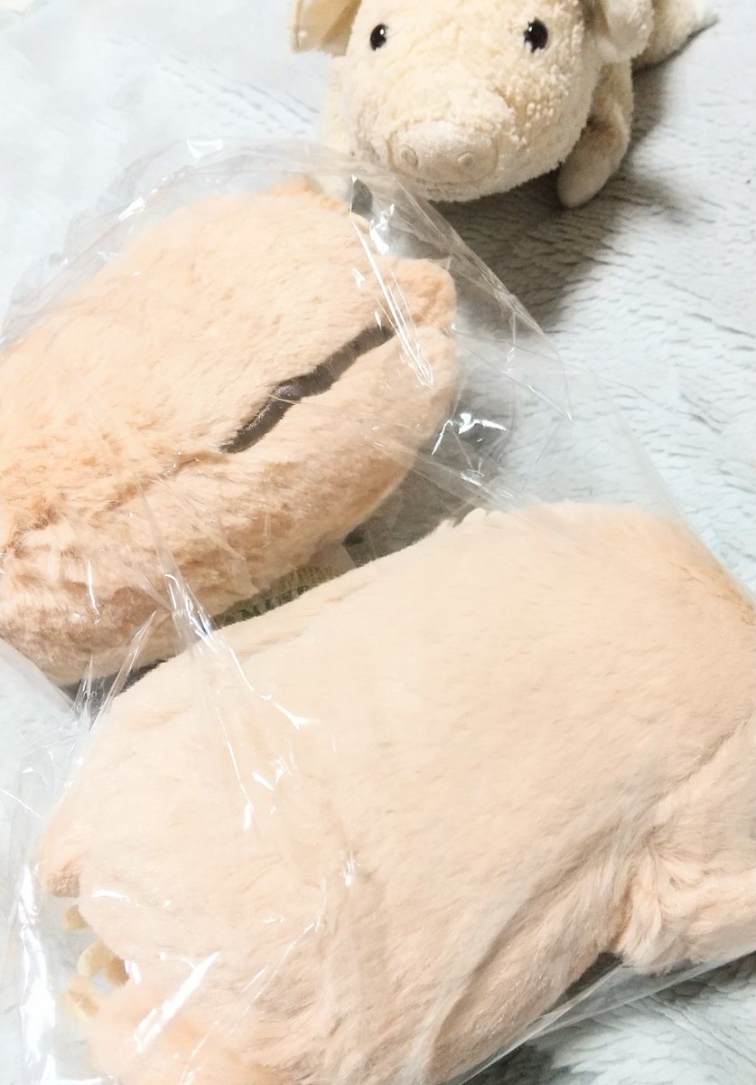 ♥舞茸まとめ　ToKKy-h♥ 妙義山の舞茸：轟舞茸】黒い薔薇と呼ばれる“まいたけ”～天ぷらと