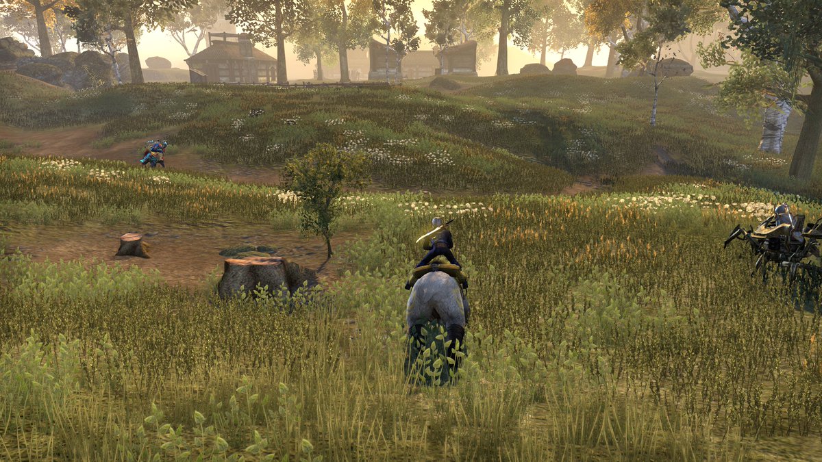 イベント初シロ！
村のデイリー募集に参加させて頂きました👍

本格的なシロ合戦は週末に参加します
何故なら眠いから、毎日５時起きだから！⛄
#ESO_JP