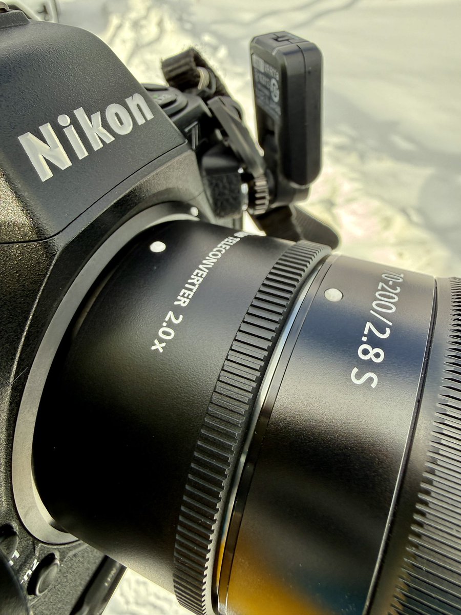 今日は、新しく導入したNikonテレコンバーター ZTC2.0xを試し撮り