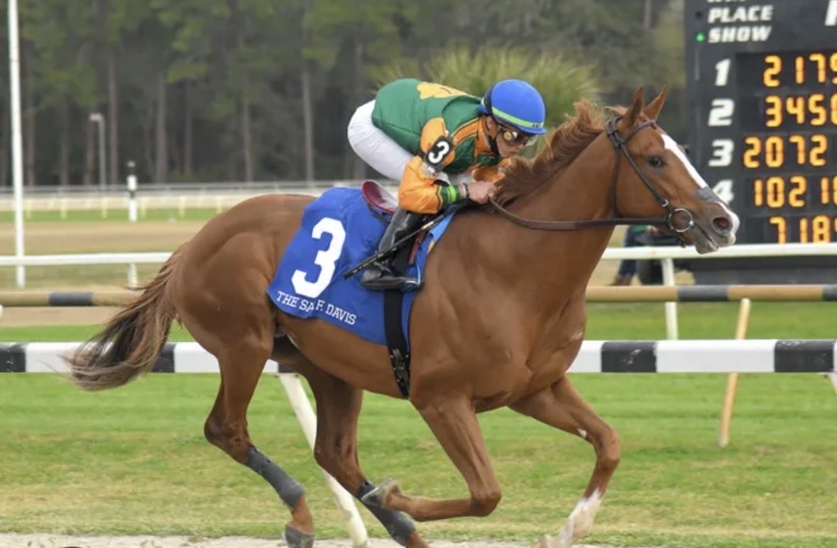 Tom Griffin tweet media