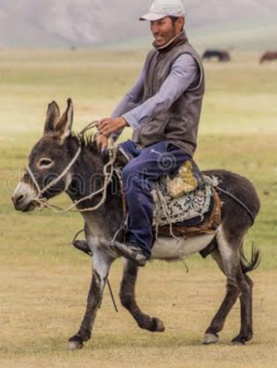 Tom Griffin tweet media