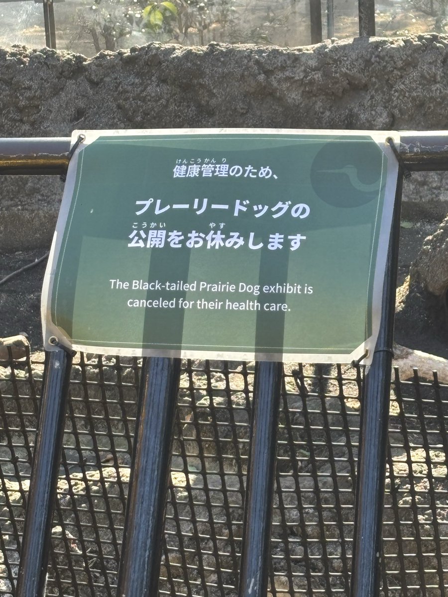 上野動物園に行きました。みんなかわいかったꈍ◡ꈍ