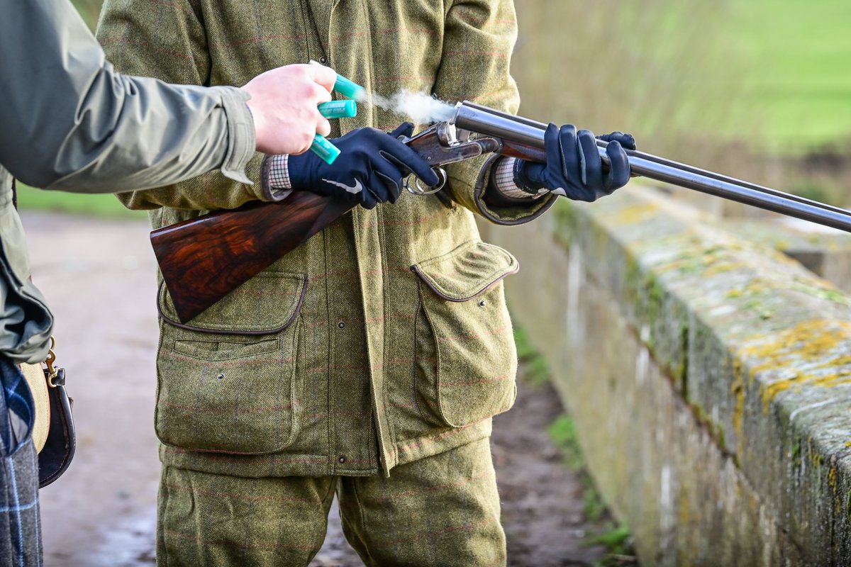 ELEY HAWK Ltd. tweet media