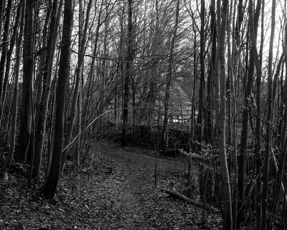 Dan 23 Freedom tweet media