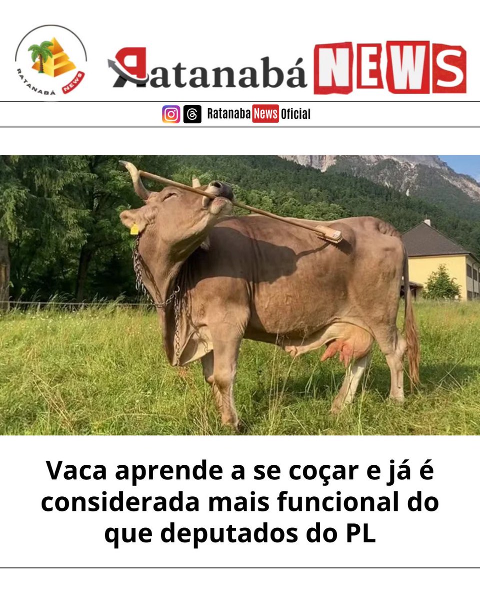 RomuloBDias's tweet image. 