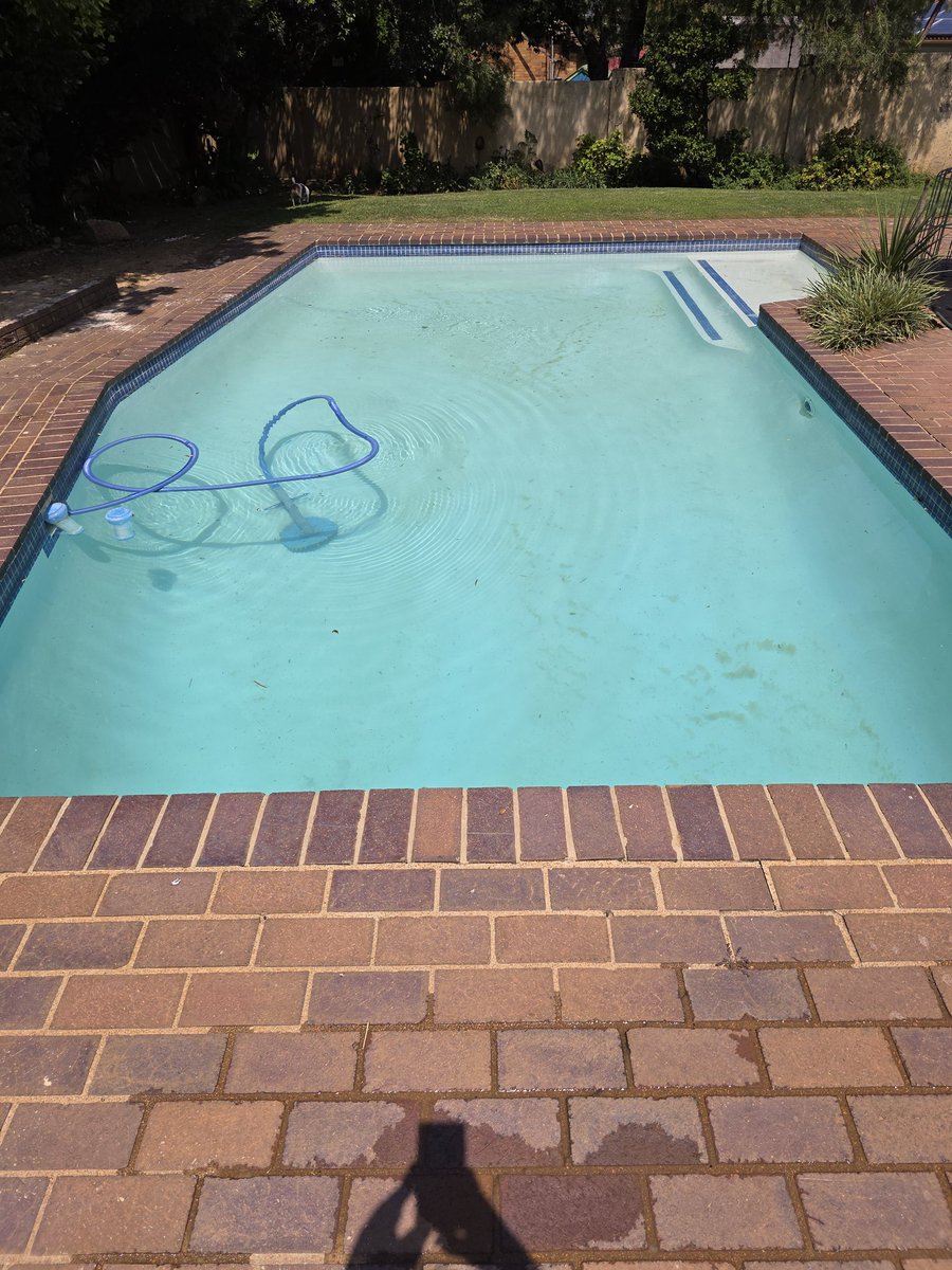 My pool is sparkling blue and ready for a refreshing swim this afternoon