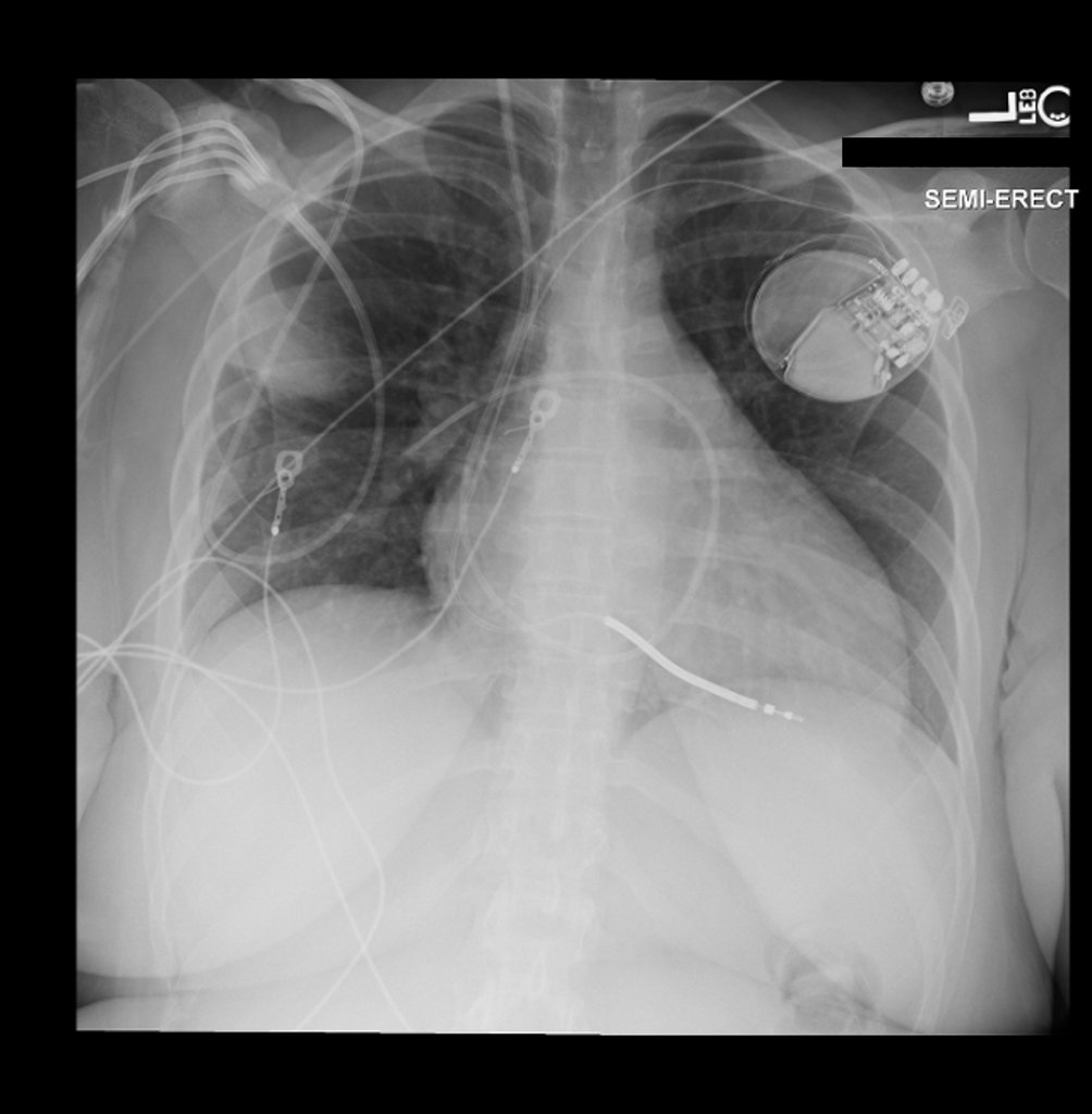 Dr sthanu subramanian tweet media