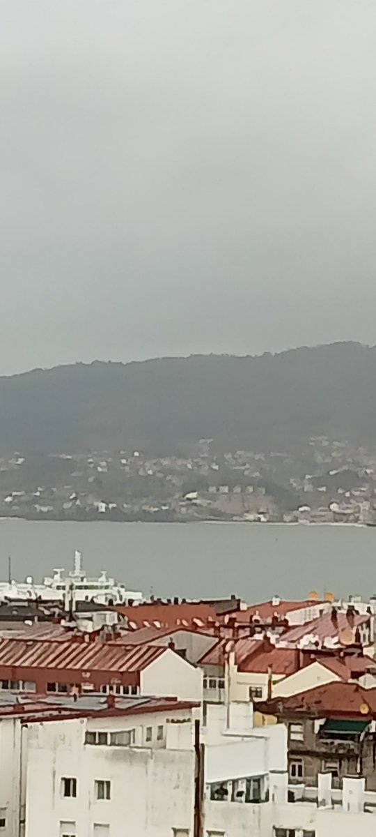 pilar 🏝️🏄🌊 tweet media
