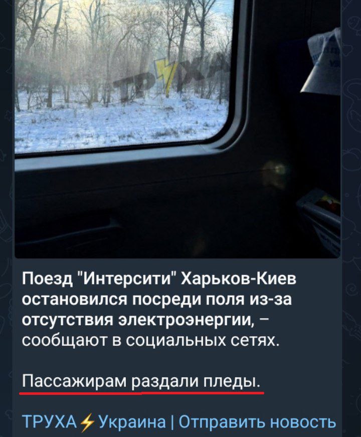 Sergey Z. Maluk 🇷🇺 tweet media