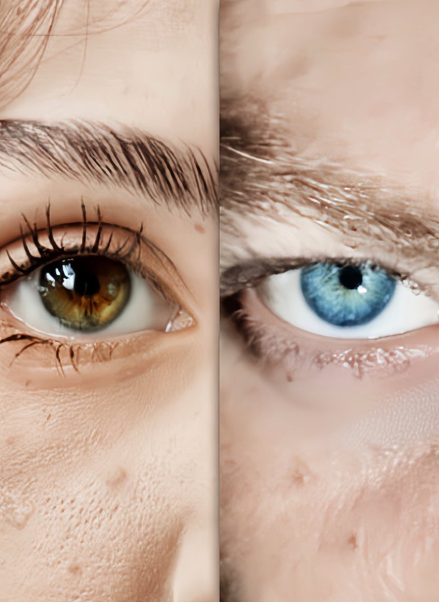 sude 💌 tweet media