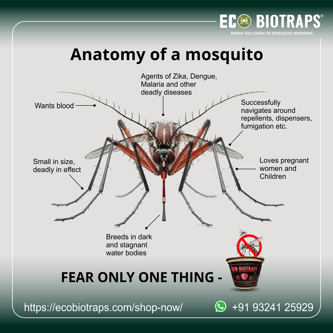 To eliminate a problem at its source, it must first be deeply understood. At EcoBioTraps, we work closely with leading organizations and a scientific advisory board to study mosquito breeding patterns and design solutions that address the root cause — not just the symptoms.