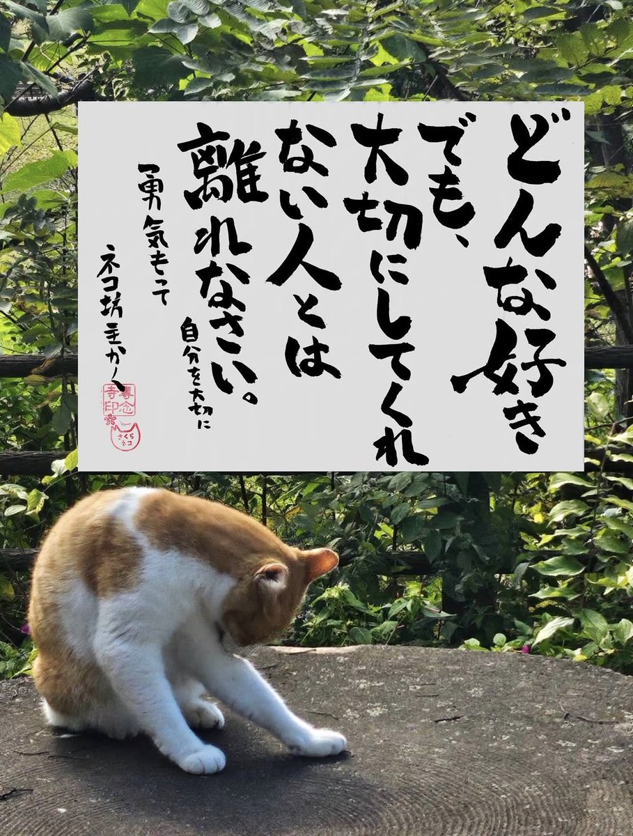 🐗こうたろべー (@koutarobe_) / Posts / X