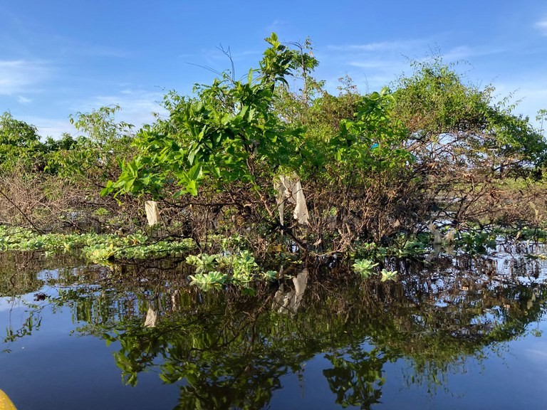 g1amazonas's tweet photo. Governo Federal não fiscaliza descarte irregular de plástico em rios do Amazonas desde 2020 https://t.co/29hhytYBMG https://t.co/iJEuad2FS6