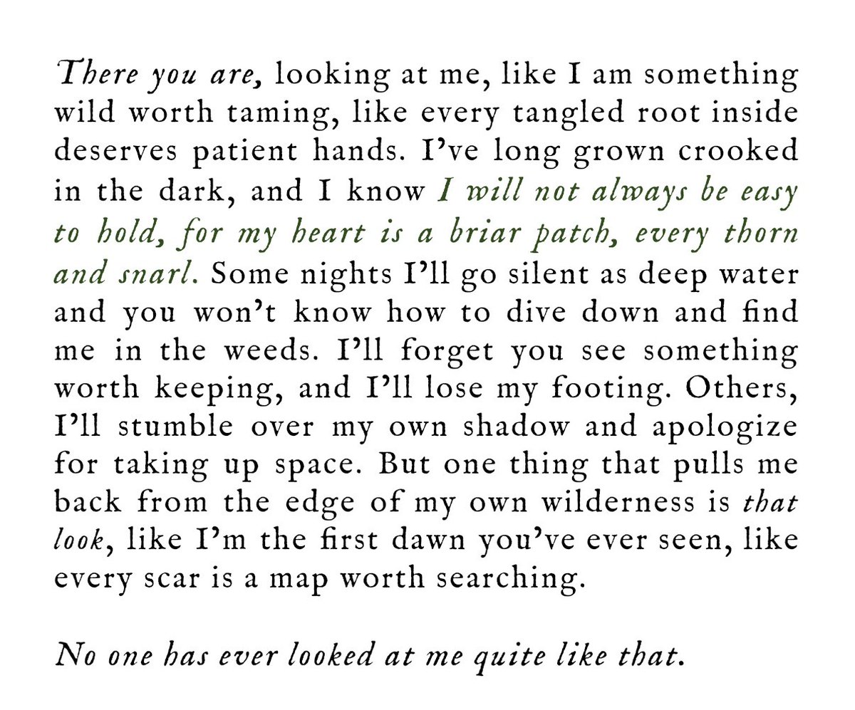 Literarium tweet media