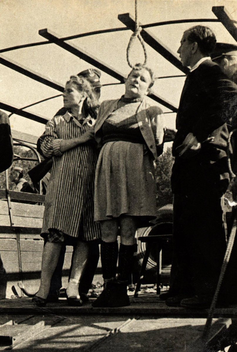 WW2 The Eastern Front tweet media