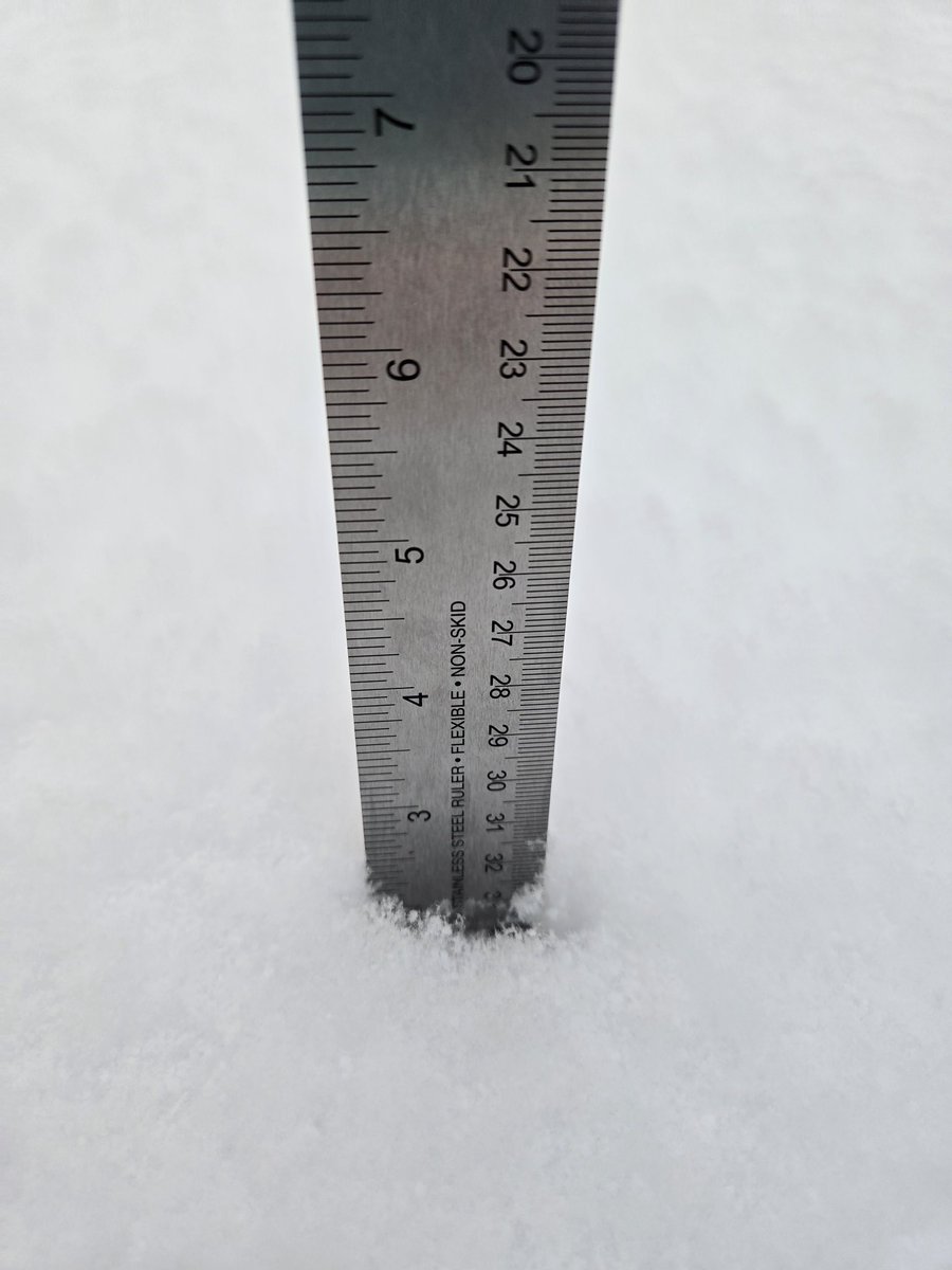 Katie M. 🌻💙💛🌻🇬🇪🇺🇦🇬🇪🇺🇦 tweet media