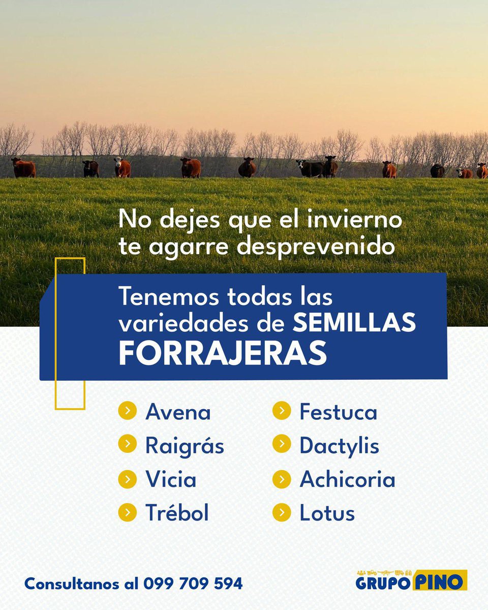 GRUPO PINO tweet media