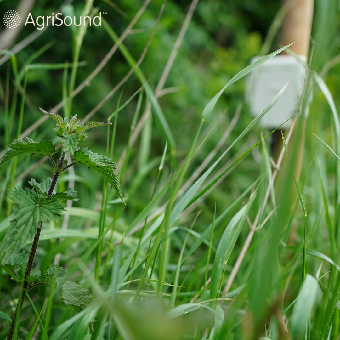 AgriSound tweet media