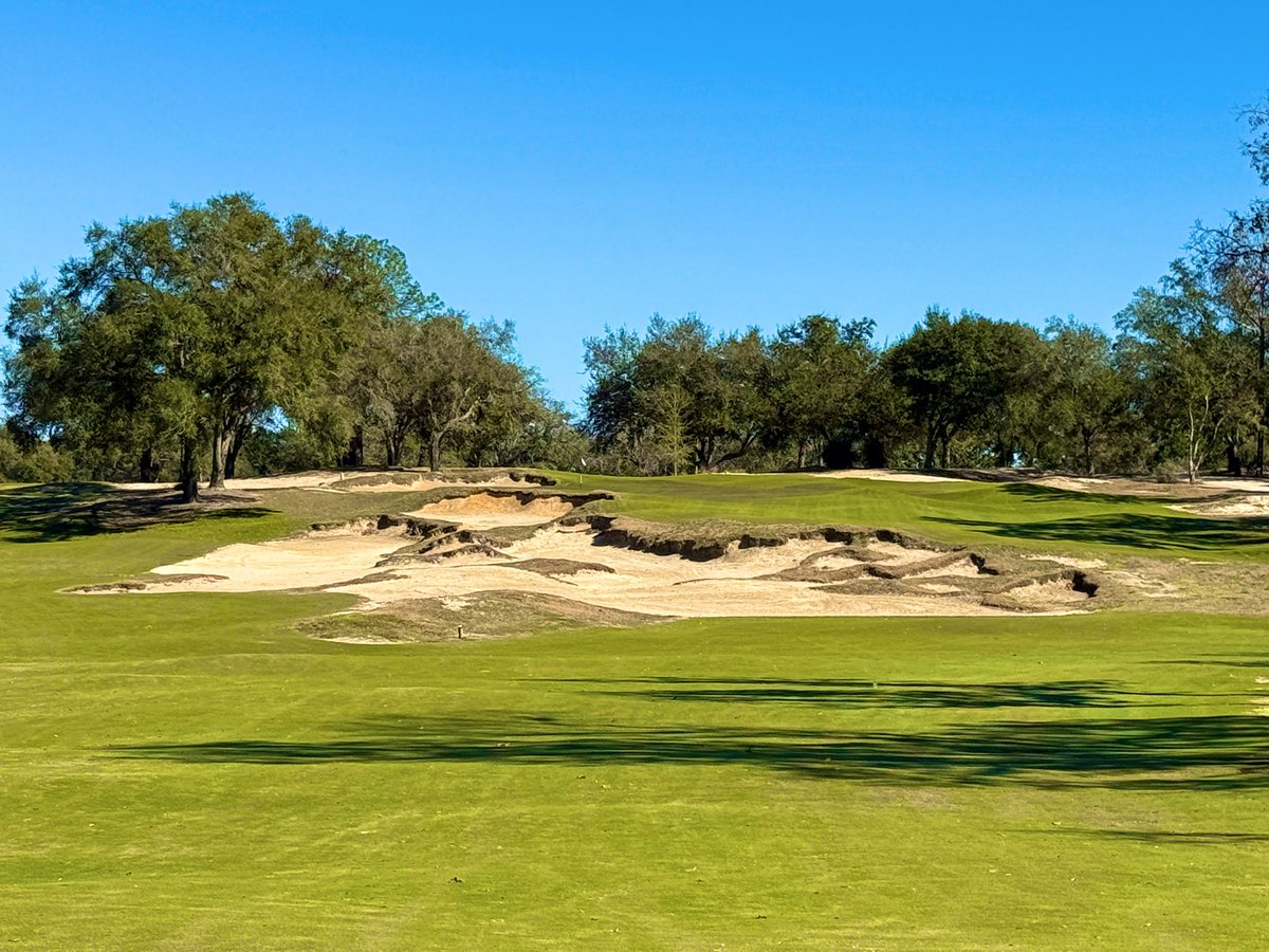 Rick Golfs tweet media