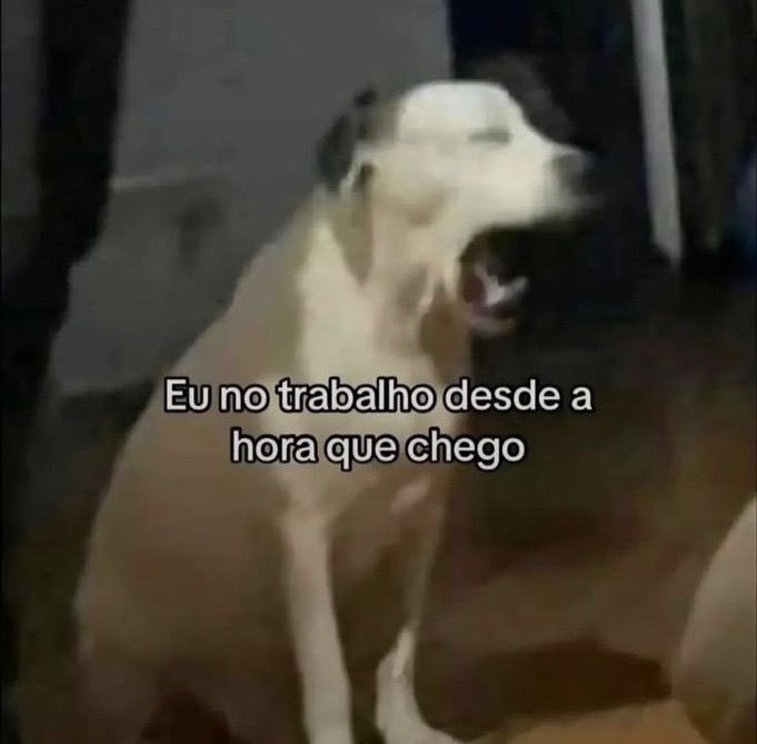 paginalixo1's tweet image. 