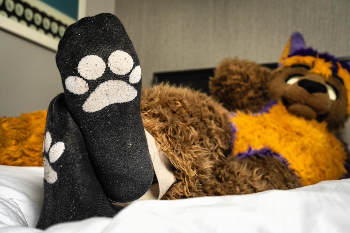 Guess who’s back with some SOCKS! 🧦