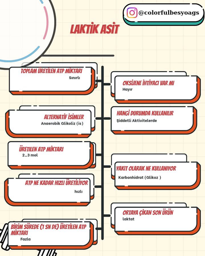 Aymihriii (@mihriayy) on Twitter photo 