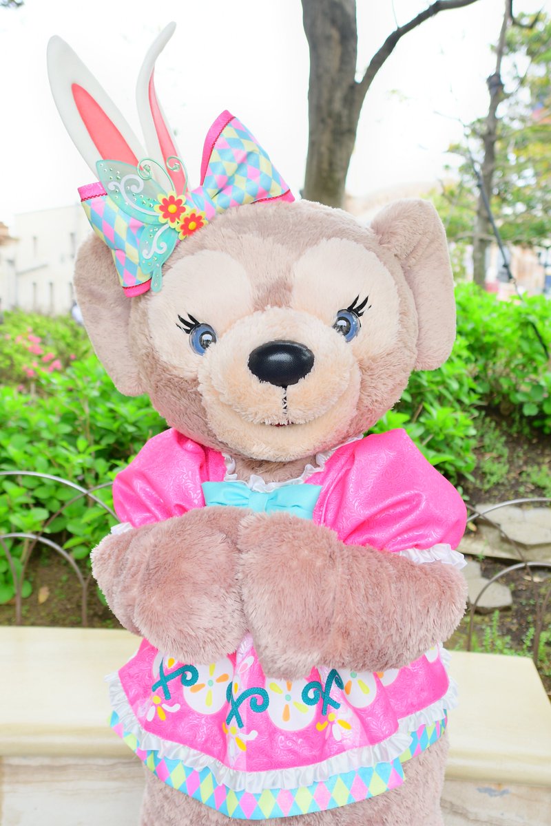 今日は可愛いメイちゃんがたくさん見れて幸せー( ꇐ₃ꇐ ) 🎉✨Happy