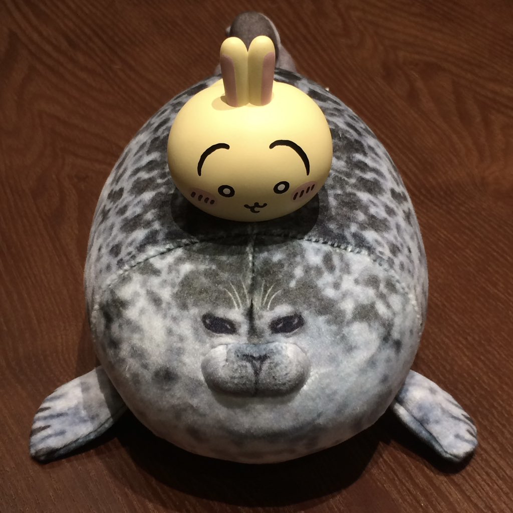 蛋挞般脆弱 tweet media