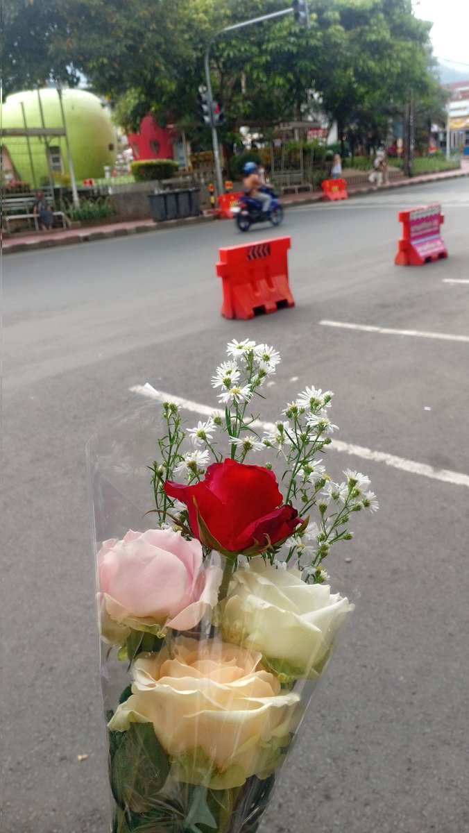 lavienrose tweet media
