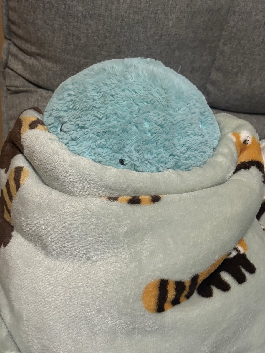 もぞもぞもぞ
ぬっ…！
さぁむいぬっさぁむいぬっ
ぬし、きょうはさぁむいぬっ
だぬとほかほかしよぬっ(˙𐃷˙)