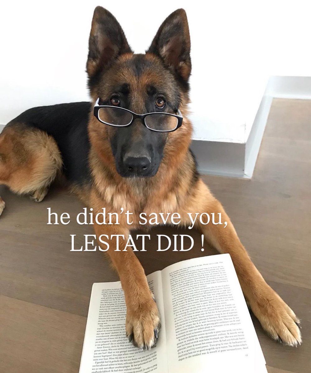 joonieslight's tweet image. eccoci  🫶🏼