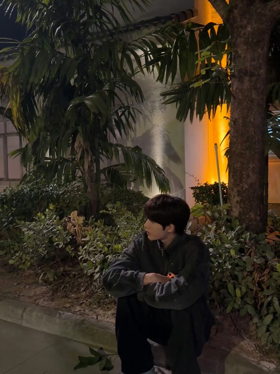 _dscheng's tweet image. 🍃🍃