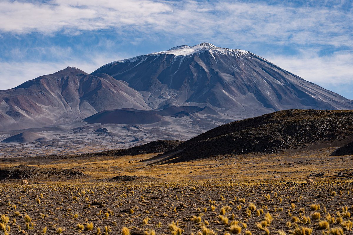 Volcán Incahuasi, "La casa del Inca", una de las tantas cumbres sagradas de los Incas. 🙌🇦🇷💙

Es un hito paisajístico en la ruta de los seismiles camino al límite con Chile. Su altura es de 6.638 mts. s.n.m y se lo puede ver a varios kilómetros desde la ruta 60. Una maravilla 😊