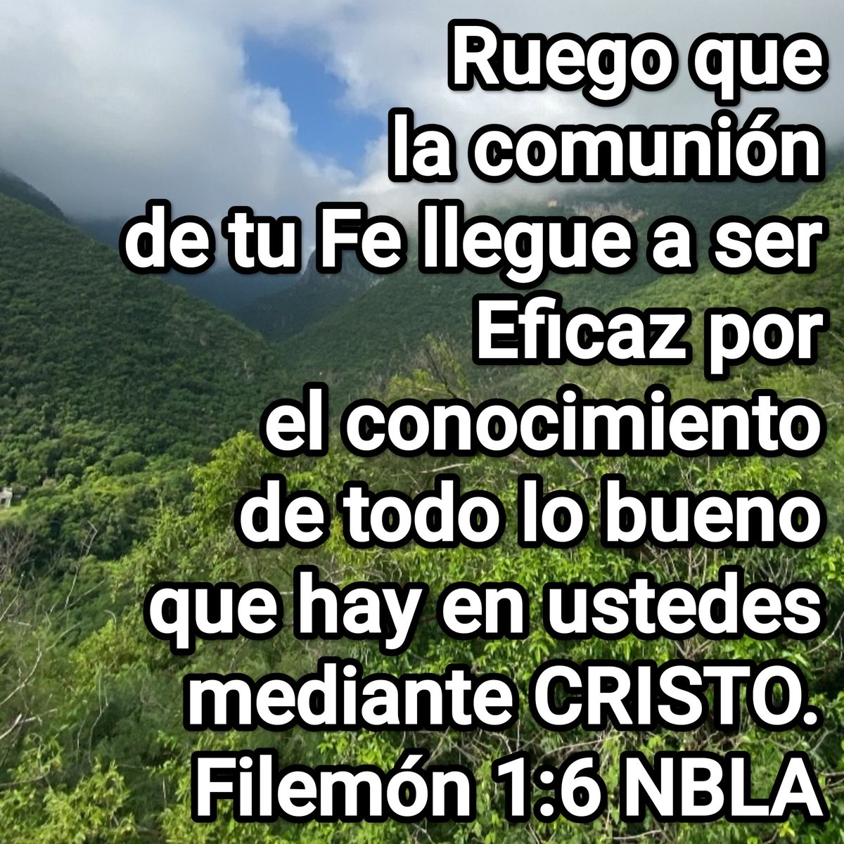UNAMIGO87327870's tweet image. #JESUCRISTOReyEterno #DIOSEsBueno #UnVersiculoParaBendecirte #Biblia #Filemón
Ruego que la comunión de tu Fe llegue a ser Eficaz por el conocimiento de todo lo bueno que hay en ustedes mediante CRISTO.
Filemón 1:6 NBLA