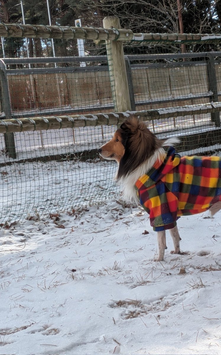 ドックランに行ってきたよ!!🐶❤️