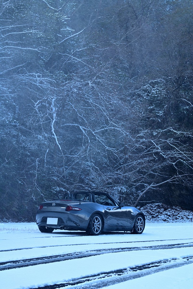 Oraora_r5k's tweet image. 折からの風に煽られて枝から落ちてきた雪がさも吹雪いてるように見えるだけで、決して大雪降ってる中オープンで走るような事はしません🫡
#kobemazdaphoto
#km2025winter
#mazdagram
#kobemazdagram
#マツダグラム
#神戸マツダグラム
