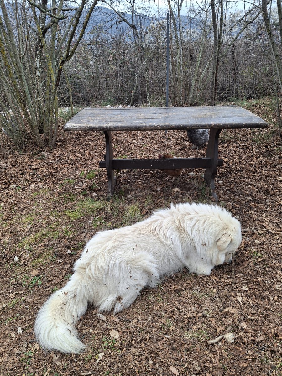 Prendere il caffè con lui ha un altro gusto.