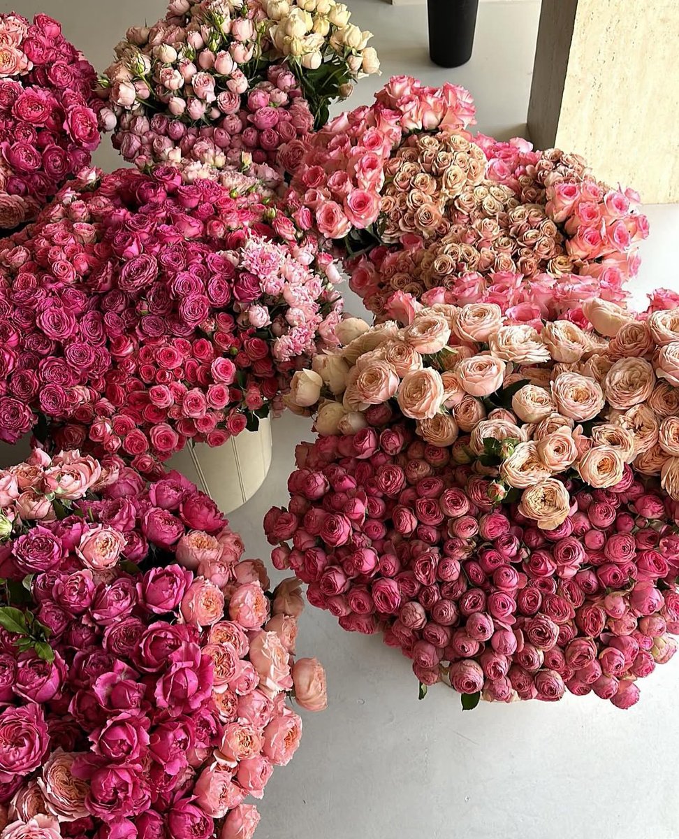 🌺❣️🪄🌷🪷🌸