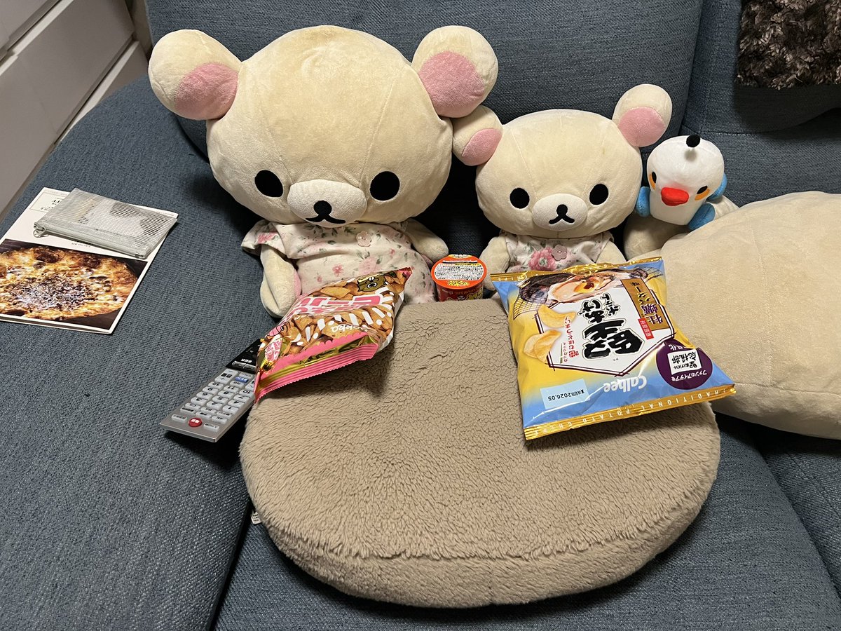 うちの子 tweet media