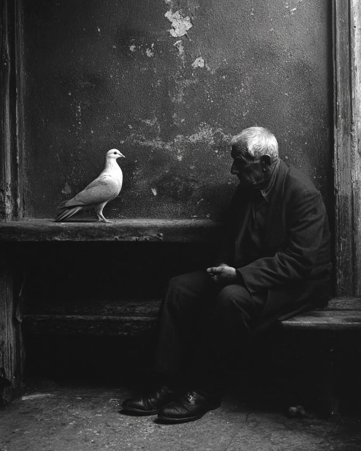 Her kalp kendi hüznünü kavrar. Anlaşılmayı beklemeyin.

Farabi | Mutluluğun Kazanılması