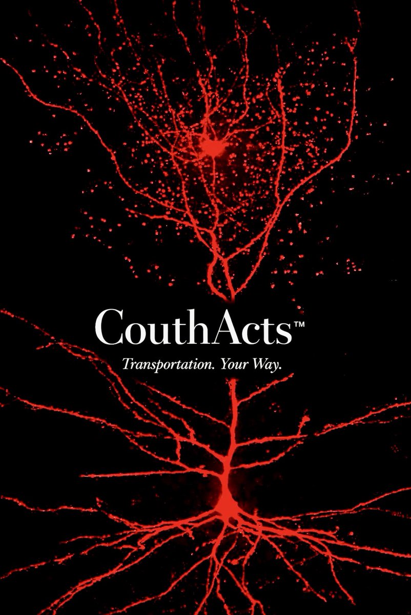 couthacts's tweet photo. One of the functions of the recently discovered Rosehip cells in the human brain is to regulate where and when thought ignites.

CouthActs™ is the Rosehip Cells of the transportation sector — the central intelligence coordinating every movement.

Transportation. Your Way. https://t.co/heDx3EBF7v