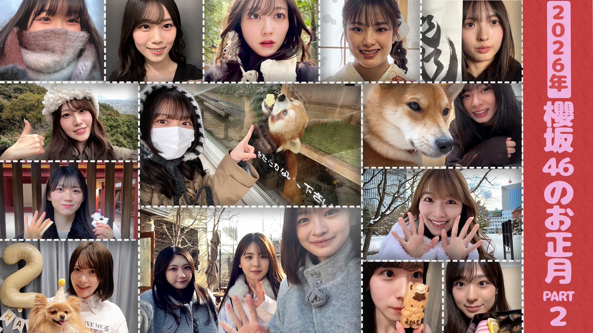 「#櫻坂チャンネル」にて「【帰省】櫻坂46の2026年始の過ごし方Vlog！【PART2】」を公開いたしました

櫻坂46が帰省してそれぞれの過ごし方をご紹介！PART2！🌅✨
北海道、サファリパーク、ホラー映画と個性豊かな年始を過ごしたようです☃️🦁👻

ぜひご覧ください

youtu.be/HdDom_iHFUE

#櫻坂46